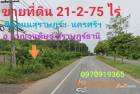 ขาย ที่ดิน ติดถนนสุราษฎร์ธานี-นครศรีธรรมราช 21 ไร่ 2 งาน 75 ตร.วา อ.กาญจนดิษฐ์ สุราษฎร์ธานี