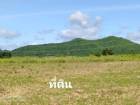 ขาย ที่ดิน ทำเลดี มีอนาคตชะอำ 8 ไร่ 3 งาน 72 ตร.วา มีน้ำล้อมรอบที่ดิน อุดมสมบูรณ์ เหมาะแก่การปลูกบ้านสวน