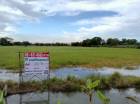 ขาย ที่ดิน พื้นที่กว้าง มีความเป็นธรรมชาติ หมู่บ้านคุ้งสลา 10 ไร่ 1 งาน 68 ตร.วา