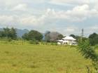 ขายที่ดินโฉนดริมแม่น้ำโขง อ.ท่าอุเทน จ.นครพนม 8ไร่