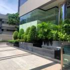 ให้เช่าพื้นที่สำนักงาน โชว์รูม สีลม คอนแวนต์ 