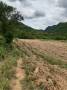 ขายที่ดิน เนื้อที่ 20 ไร่ 