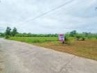 ขาย ที่ดิน อำเภอร่อนพิบูลย์ นครศรีธรรมราชที่ดิน 5 ไร่ 50.5 ตร.วา มีสวนปาล์ม บ่อปลา และที่ว่างเหมาะสำหรับสร้างบ้านพักอาศัย