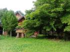 ขายที่ดินสวนยางพารา 47-3-83 ไร่  อ.เชียงคำ พะเยา