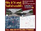 ขายที่ดิน 3 ไร่ เศษ