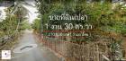 ขายที่ดินเปล่า (โฉนด) พท. 1 งาน 30 ตร.วา  ต.บ้านสา-แจ้ห่ม ลำปาง