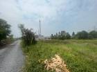 ขาย ที่ดิน ขายด่วนที่ดิน หนองจอก คลองสิบสอง 95 ตร.วา ที่ดิน คลองสิบสอง หนองจอก