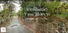 ขายที่ดินเปล่า (โฉนด) พท. 1 งาน 30 ตร.วา  ต.บ้านสา-แจ้ห่ม ลำปาง