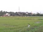 ขายที่ดินสวยใกล้ถนนเพชรเกษม เนื้อที่ 7 ไร่ 2 งาน วังมะนาว ปากท่อ ราชบุรี เหมาะทำจัดสรร จัดสรรที่ดิน