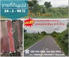 ขายที่ดินเปล่า 24 ไร่+ ราคาพิเศษ พัฒนานิคม ลพบุรี