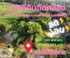 ขายที่ดินสด-ผ่อนเกาะขนุนติดคลองราคาถูกๆ 100 ตรว. ได้พื้นที่งอกเพิ่ม ใกล้ตลาดสนามชัยเขต 2 กม. พนมสารคาม ฉะเชิงเทรา