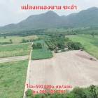 ถูกกว่านี้ไม่มีอีกแล้ว!! ที่ดินวิวสวย ทำเลดี บรรยากาศน่าอยู่ เดินทางสะดวก ติดถนนคอนกรีต  อ.ชะอำ จ.เพชรบุรี โฉนดครุฑแดง