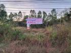 ขายที่ดิน เนื้อที่ 18-2-69 ไร่ (2 แปลงติด)