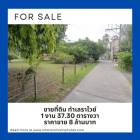 For Sales : Land at Rawai, 1 Ngan 37.30 sqw.