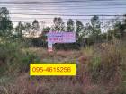 ขายที่ดิน เนื้อที่ 18-2-69 ไร่ (2 แปลงติด)