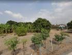 ขายที่ดินบ้านสวน 5 ไร่ ติดถนนคอนกรีต 2 ด้าน ใกล้ถนนบายพาส(361) - 450 เมตร เมืองชลบุรี ชลบุรี