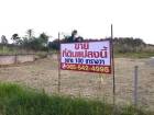 ที่ดินขนาด 100 ตรว. ซอยเกษตรศาสตร์ใหม่ 5
