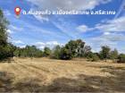 ขาย ที่ดิน ลงทุน เพื่อการเกษตร ต.หนองแก้ว อ.เมืองศรีสะเกษ จ.ศรีสะเกษ 5 ไร่ 2 งาน 55 ตร.วา ฉโนดครุฑแดง พร้อมโอน