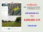 ขายที่ดินทำเลสายไหม วัชรพล ตร.วาละ 55,000 บาท
