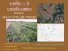 ขายที่ดิน 14 ไร่ บางปะหัน