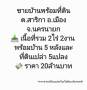 ขาย บ้านเดี่ยว บ้านพักตากอากาศ านพร้อมที่ดิน ต.สาริกา อ.เมือง จ.นครนายก 10000 ตรม. 2 ไร่ 2 งาน .บ้านเดี่ยว