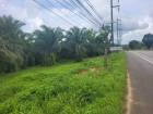 ขาย ที่ดิน ที่สวย ทำเลดี ตะกั่วทุ่ง พังงา