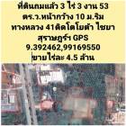 ที่ดินริมถนนเพชรเกษม ใกล้แยกไชยา สุราษฎร์ธานี