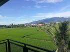วิวภูเขา #ทุ่งนา สวยมาก เดินทางสะดวกสบาย