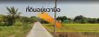ขายที่นาเก่า 1 ไร่ ซอยสังฆสันติสุข 61 ราว 590 เมตร หนองจอก กรุงเทพฯ