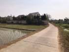ขายที่ดิน 4.5 ล้าน 390 ตรว. #โซนแม่โจ้ #สันทราย