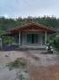 ขายที่ดิน ที่ดิน อ.จุฬาภรณ์ ต.สามตำบล จ.นครศรีธรรมราช ID-10330