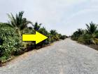 ขายที่ดิน บางแค พุทธมณฑล สาย 3 - พุทธมณฑล สาย2