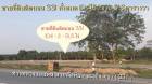 ขายที่ติดถนน 331 รวม 104 ไร่ ที่สวย ที่สูงไม่ต้องถม สวยๆ ราคาดีๆ