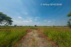 ขายที่ดิน 100 ตรว หนองเสือ คลองแปด บึงบอน ปทุมธานี