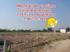 ที่ดินให้เช่า โซนบ้านกล้วยไทรน้อย (บางบัวทอง) T.062-1574449