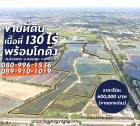 ขายที่ดินแปลงใหญ่ 130 ไร่ บ่อปลา #มีน้ำใช้ทั้งปี แถมฟรีโกดัง