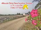 ที่ดินให้เช่าโซนบ้านกล้วยไทรน้อย ( บางบัวทอง ) T.062-1574449