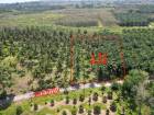 ขาย ที่ดิน เนื้อที่ 2 ไร่ ซ.โกบิ้น ท่าศาลา นครศรีธรรมราช 