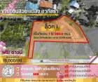 ขายที่ดินจัดสรรแปลงสวย 1ไร่ 383 ตร.ว. หนองหญ้าไซ สุพรรณบุรี
