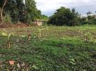 Beautiful land for House land area 780 SQM.  IN THE BIG VILLAGE ZONE NEAR LAKE VIEW ZONE