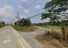 ขาย ที่ดิน ต.มาบโป่ง อ.พานทอง จ.ชลบุรี 444 ไร่ เหมาะทำการค้า CC