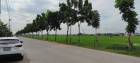 ขาย ที่ดิน ขายที่ดิน(50-0-67.3)ไร่ ลำลูกกาคลอง6 ต.บึงคำพร้อย อ.ลำลูกกา ปทุมธานี 50 ไร่ 67.3 ตร.วา
