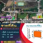 ขายที่ดิน!!! 6 ห้อง หลังปัตตานีคอนกรีต ต.รูสะมิแล อ.เมือง จ.ปัตตานี