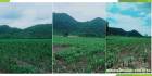 ที่ดินสวยบริเวณ