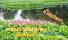 ขาย ที่ดิน บ่อปลา ดอนมะเกลือ 4 ไร่ 69 ตร.วา อู่ทอง สุพรรณบุรี