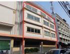 ให้เช่าอาคาร4ชั้น 3 คูหา ลาดพร้าว 64 วังทางหลา