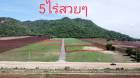ขาย ที่ดิน ตากฟ้า นครสวรรค์ 5 ไร่ แปลงสุดท้าย แปลงละ 5 ไร่ ตากฟ้า นครสวรรค์ ID l0012