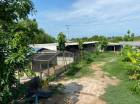 ขาย ที่ดิน พร้อมโกดัง หนองจอก ซอยบ้านสุมาลี 451 ตร.วา เหมาะทำบ้านพักอาศัย พื้นที่เก็บสินค้า เก็บของ