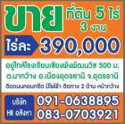 ขายที่ดินเนื้อที่ 5 ไร่ 3 งาน