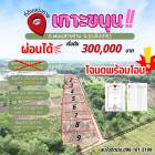 ขายที่สวนผ่อนได้เกาะขนุน เริ่มต้น 200 ตรว. ผ่อนนาน60งวด ใกล้ตลาดสด โรงพยาบาลและถนนใหญ่ อ.พนมสารคาม ฉะเชิงเทรา